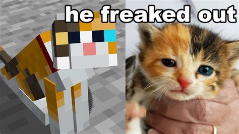 I Gave My Brother His Minecraft Cat in Real Life - YouTube