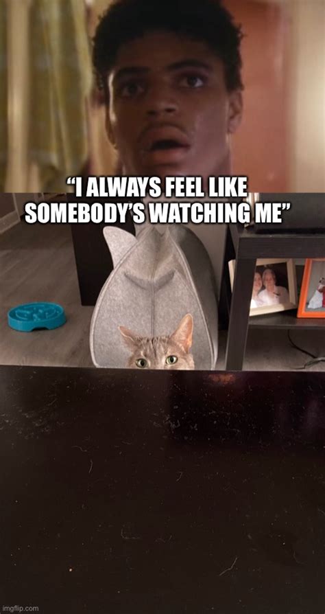 I always feel like somebodys watching me. Things To Know About I always feel like somebodys watching me. 