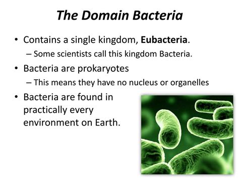 I am confused about the wording of bacteria as a domain, and …