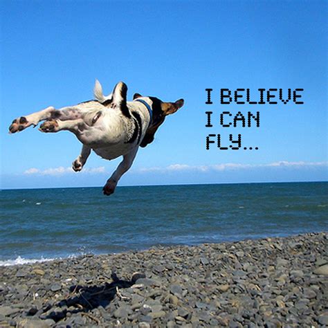 I believe i can fly. Things To Know About I believe i can fly. 