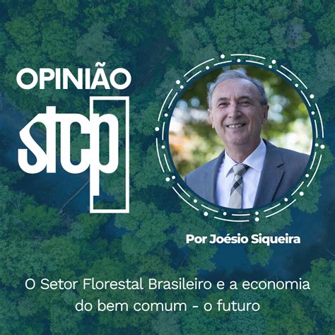 I encontro brasileiro de economia florestal. - Kyocera dp 710 service reparaturanleitung ersatzteilliste.