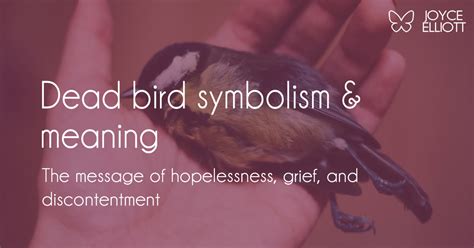I found a dead bird a guide the the cycle. - Hairdressing the foundations the official guide to to s or nvq level 2.
