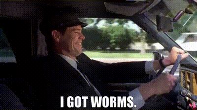 The perfect Dumb And Dumber I Got Worms Lloyd Worms animated GIF for your conversation. Discover and share the best GIFs on Tenor. Tenor.com has been translated based on your browser's language setting.