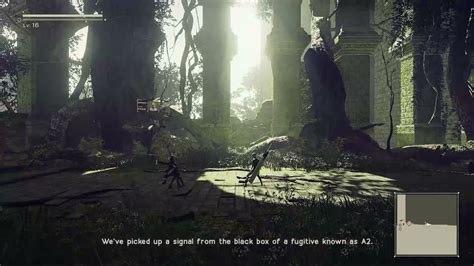 People rave about how many of Nier: Automata's quotes subtly set up and foreshadow the game's key narrative elements—particularly the 2B–9S relationship—but there is one quote that summed up so subtly that game's overall experience in both the real-world players' and in-universe characters' perspective: Jackass's advice to 2B and 9S as she cleared the way for for the desert zone:. 
