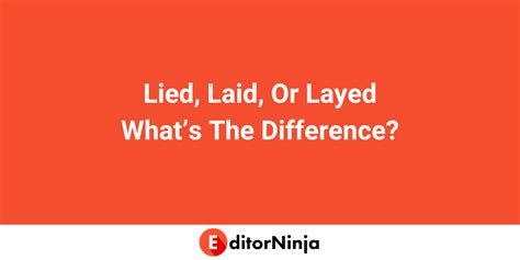 I lied meaning