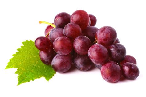 I like grapes in Spanish English to Spanish Translation - SpanishDict