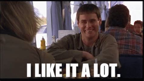 I like it alot dumb and dumber gif. Dumb and Dumber remains one of the most successful comedies of all times, and not just at the box office.Yes, the 1994 film from director Peter Farrelly (who, amazingly, recently took home the ... 