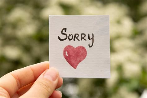 I m sorry. Things To Know About I m sorry. 
