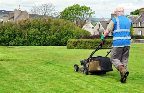 I need a dual purpose machine that can mow grass …