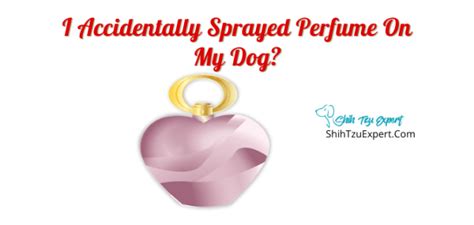 I sprayed perfume on my dog - Shih Tzu Expert