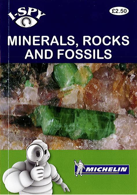 I spy minerals rocks and fossils michelin i spy guides. - Aspergers syndrome workplace survival guide by barbara bissonnette.