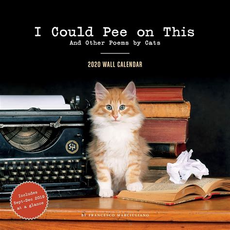 Read Online I Could Pee On This 2020 Wall Calendar Funny 2020 Wall Calendars Cat Calendars 2020 Cat Gifts For Cat Lovers By Francesco Marciuliano