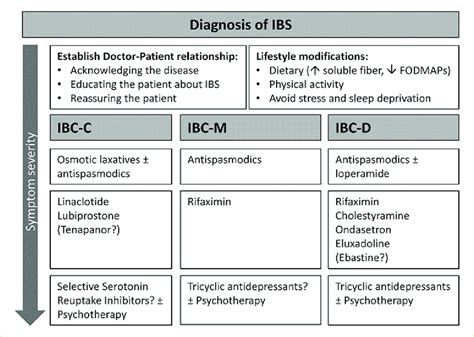 IBS D Diagnosis and Treatment Options 