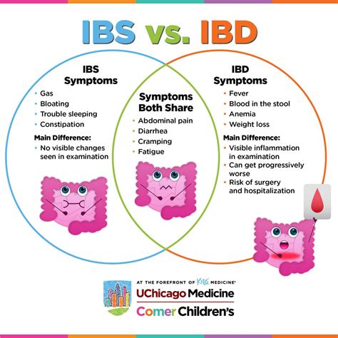 IBS or IBD Symptoms What is the Difference Cedars Sinai