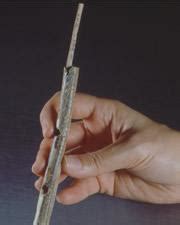 Ice-age musicians fashioned ivory flute - Nature - wintechmobiles.com