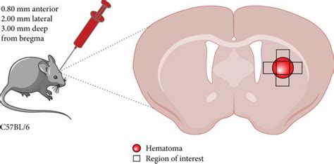 ICH - UNESCO Intangible Cultural Heritage - muktibox.com