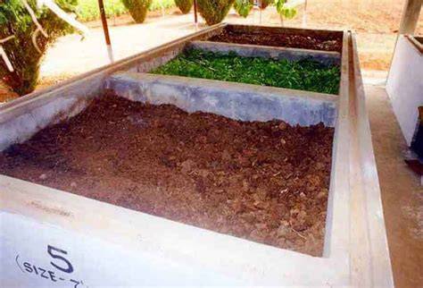 Ideal Bedding Materials for Thriving Vermicompost - raincitystudios.com