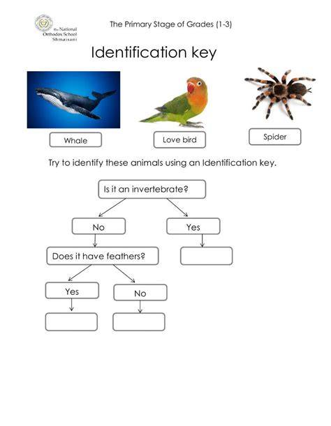 Identification Keys - WGIMT - raincitystudios.com
