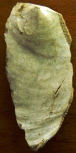 Identification of knapped flints and stone tools - wintechmobiles.com