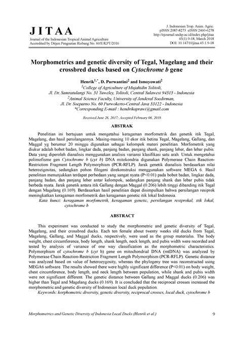 Identification of Magelang Ducks to Analyze Morphological Diversity in ... - raincitystudios.com