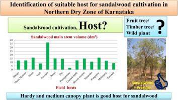 Identification of suitable host for sandalwood cultivation in Northern ... - raincitystudios.com
