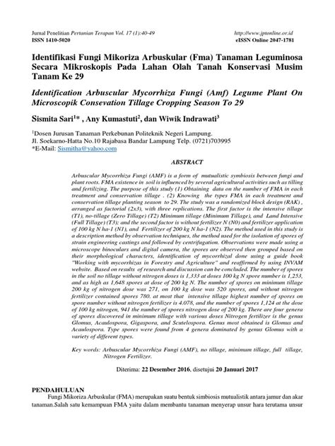 Identifikasi Fungi Mikoriza Arbuskular (Fma) Tanaman ... - Neliti - muktibox.com