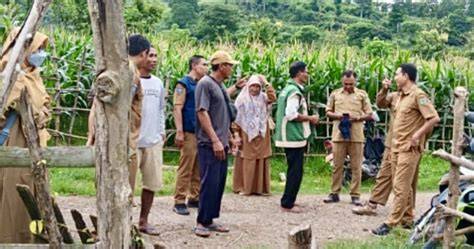 Identifikasi Hama Pertanian di Bima - raincitystudios.com