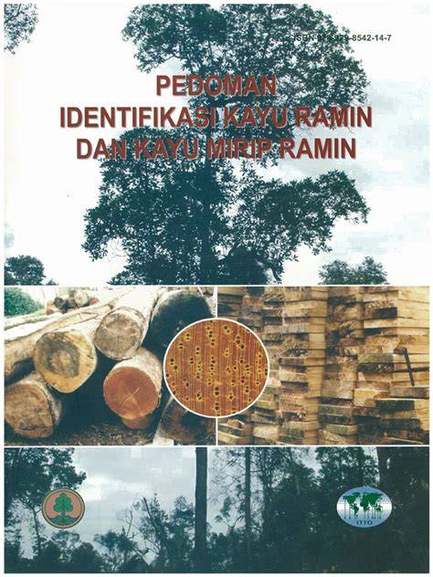 Identifikasi Kayu | Forest Stewardship Council - raincitystudios.com
