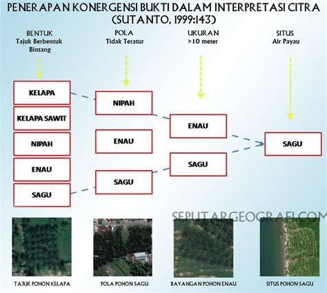 IDENTIFIKASI SAWIT RAKYAT DENGAN CITRA SATELIT - raincitystudios.com