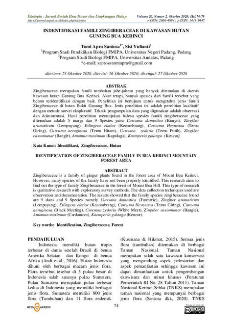 Identifikasi Zingiberaceae di Gunung Bua | PDF - Scribd - raincitystudios.com