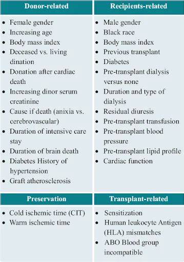 Identifying Risk Factors for Graft Failure due to Chronic ... - PubMed - raincitystudios.com
