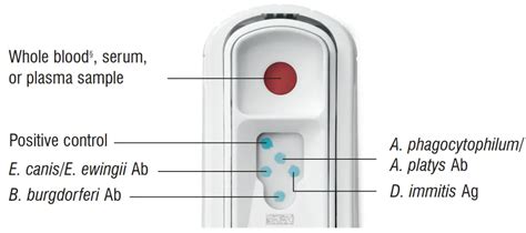 IDEXX 4Dx Plus SNAP Test Kits User Guide