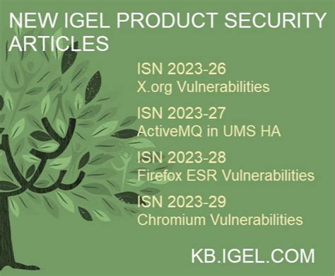 IGEL Product Security Information