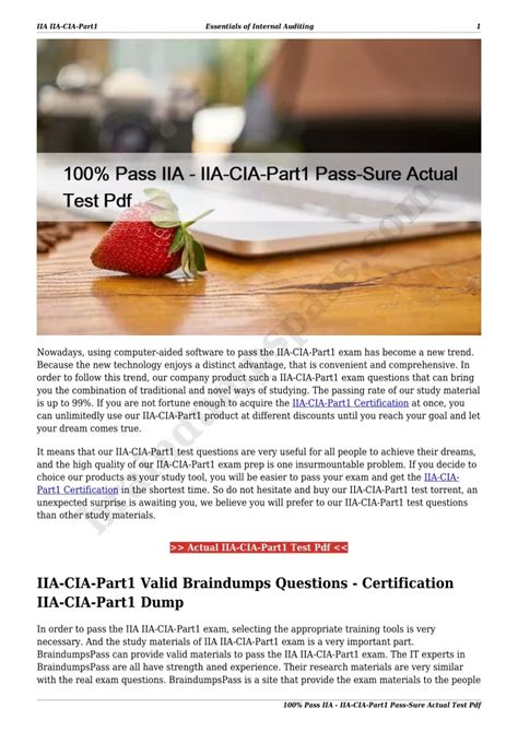 IIA-CIA-Part1 Testantworten