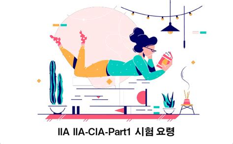 IIA-CIA-Part1-KR Übungsmaterialien