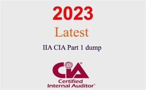 IIA-CIA-Part1-KR Dumps
