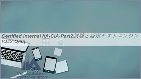 IIA-CIA-Part2 Buch