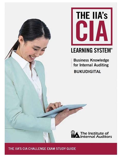 IIA-CIA-Part2 Prüfungs Guide
