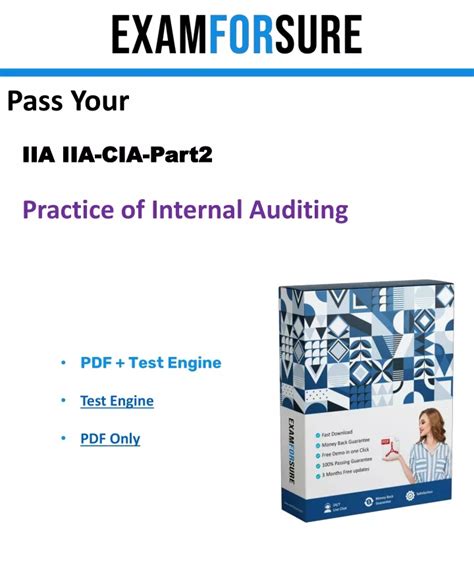 IIA-CIA-Part2 Praxisprüfung