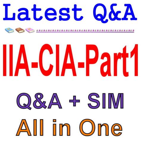 IIA-CIA-Part2 Prüfung