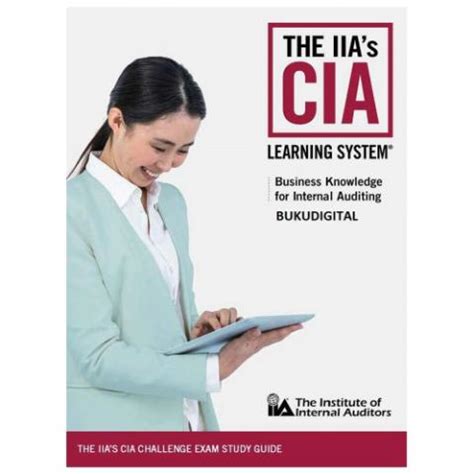 IIA-CIA-Part2 Unterlage