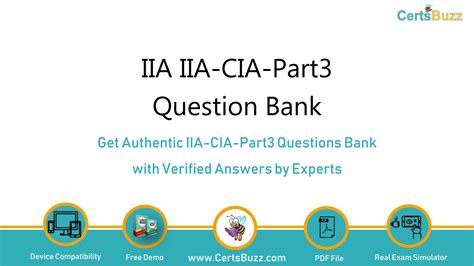 IIA-CIA-Part3 Kostenlos Downloden