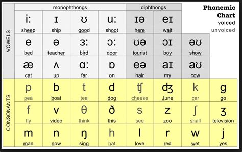 IIA-IAP Schulungsangebot