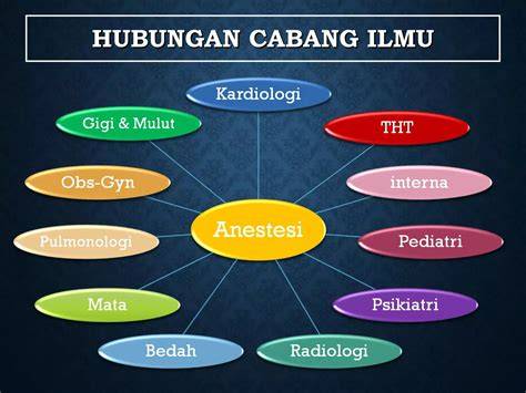 IILLMMUU PPAANNGGAAN - ResearchGate - raincitystudios.com