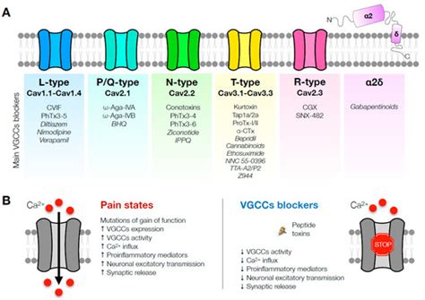 IJMS Free FullText Current Drug Development Overview Targeting