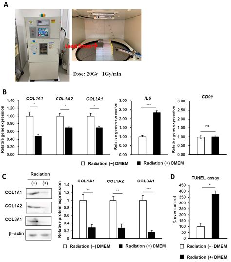 IJMS Free FullText Therapeutic Potential of 1,8