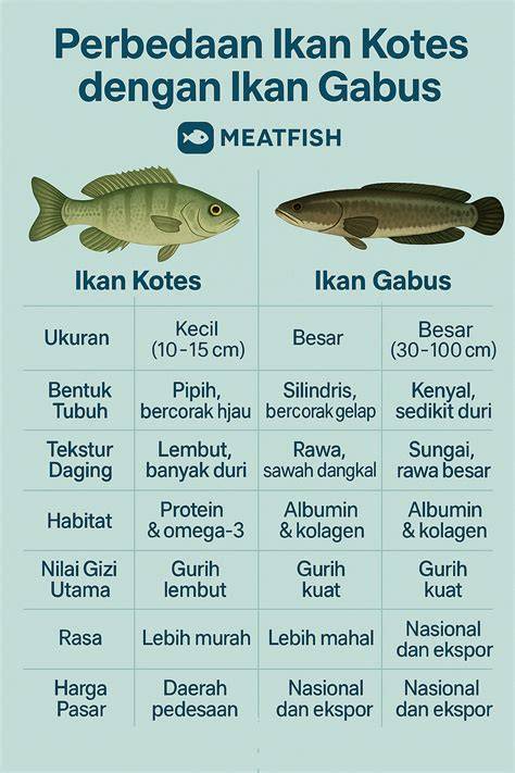 Ikan Gabus Bagus Untuk Apa - raincitystudios.com