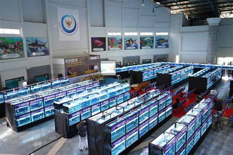 Ikan Hias Indonesia Laku Ribuan Ton di Pasar Internasional - Databoks - raincitystudios.com