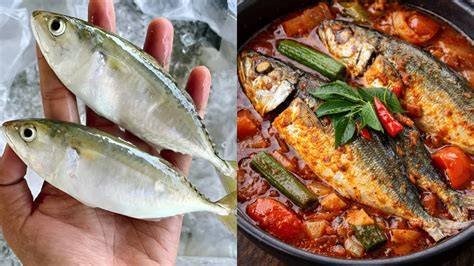 Ikan Kembung - raincitystudios.com