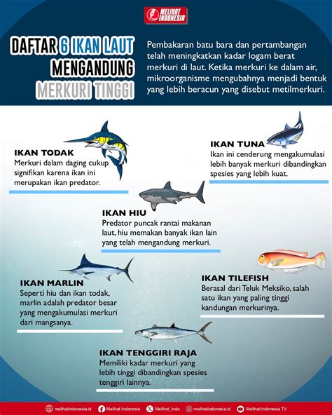 Ikan Laut Mengandung Merkuri - wintechmobiles.com